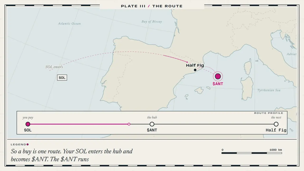 Plate IV of the Supercolony film: a route from the $ANT hub to a nest